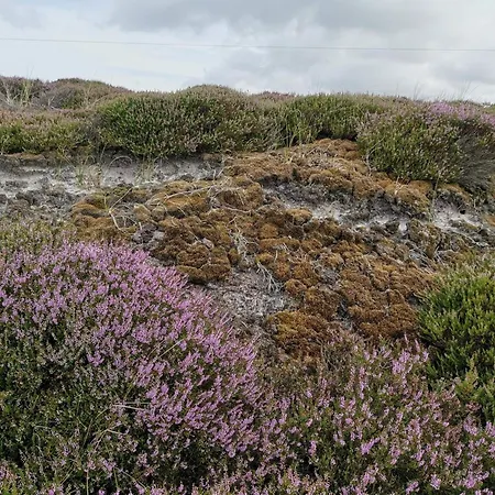 6 Person In Henne Dom wakacyjny