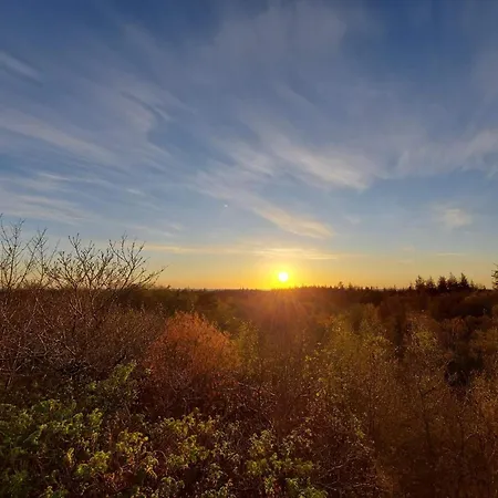 6 Person In Henne Henne Strand