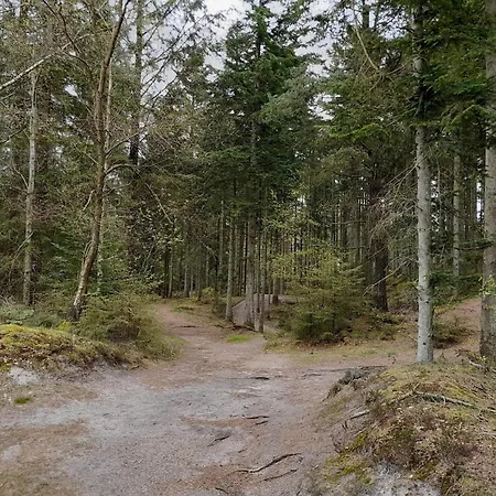 6 Person In Henne Dom wakacyjny Henne Strand