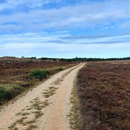 Dom wakacyjny 6 Person In Henne Henne Strand