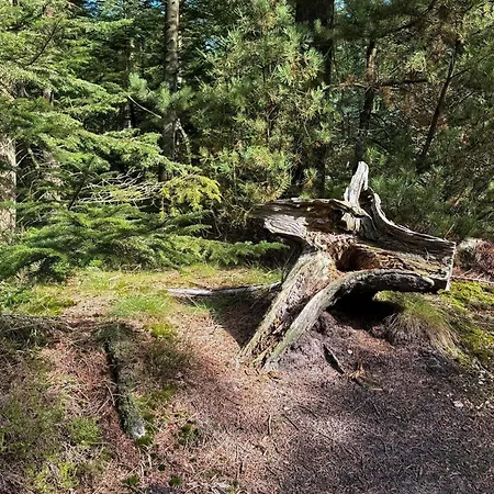 6 Person In Henne Σπίτι διακοπών *