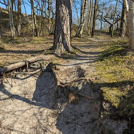 Feriehus 6 Person In Henne *