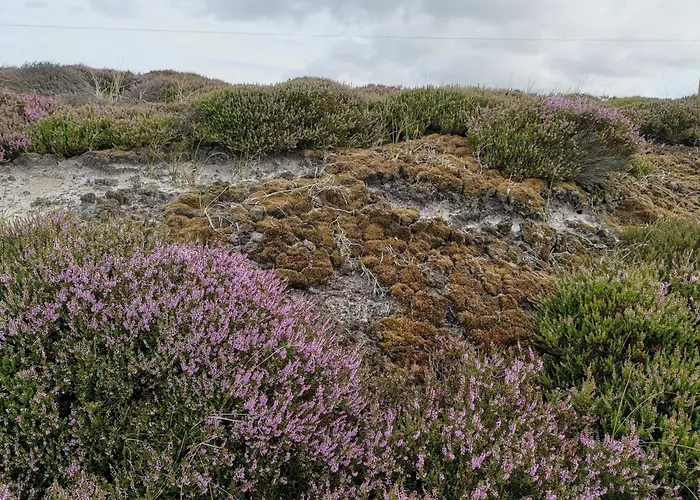 6 Person In Henne בית נופש