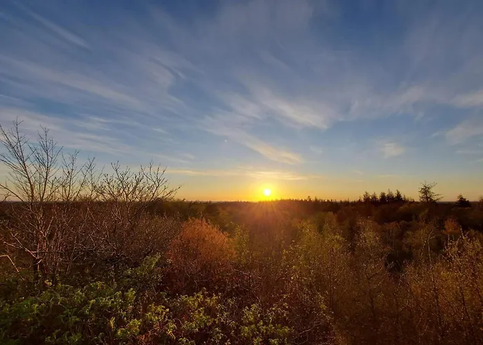 6 Person In Henne האנה סטרנד