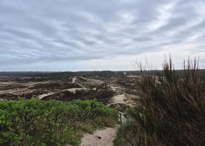 6 Person In Henne * האנה סטרנד