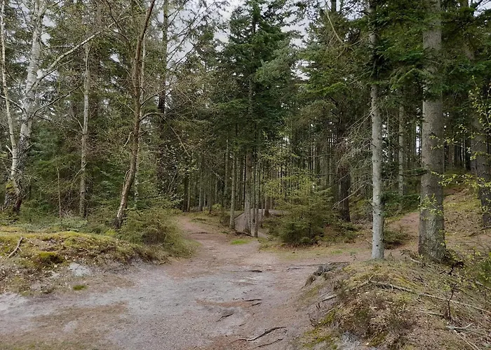 6 Person In Henne בית נופש האנה סטרנד