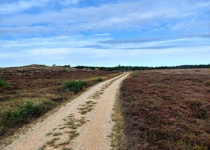 בית נופש 6 Person In Henne האנה סטרנד