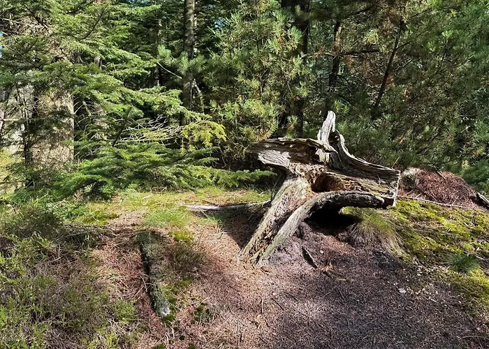 6 Person In Henne בית נופש *