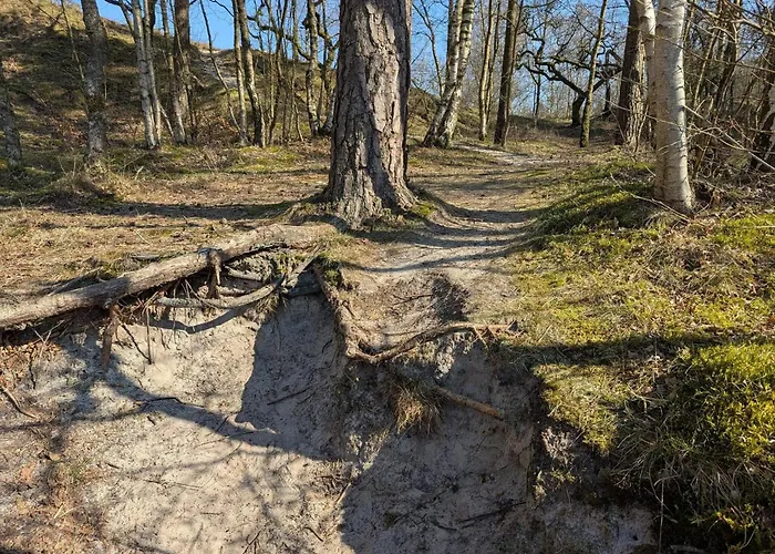 בית נופש 6 Person In Henne *